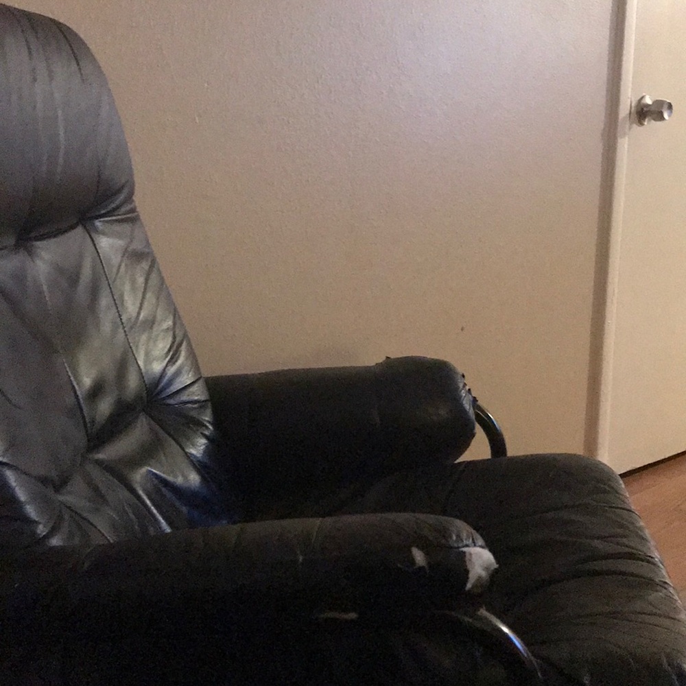 Meet your Posher, Sean